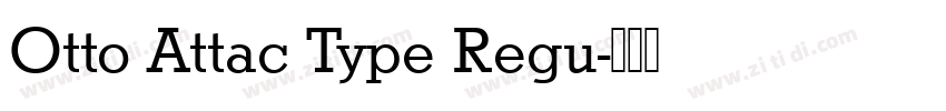 Otto Attac Type Regu字体转换